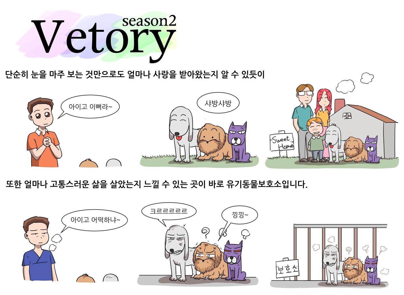 본문 이미지 - 베토리(정철 수의사 제공) ⓒ 뉴스1