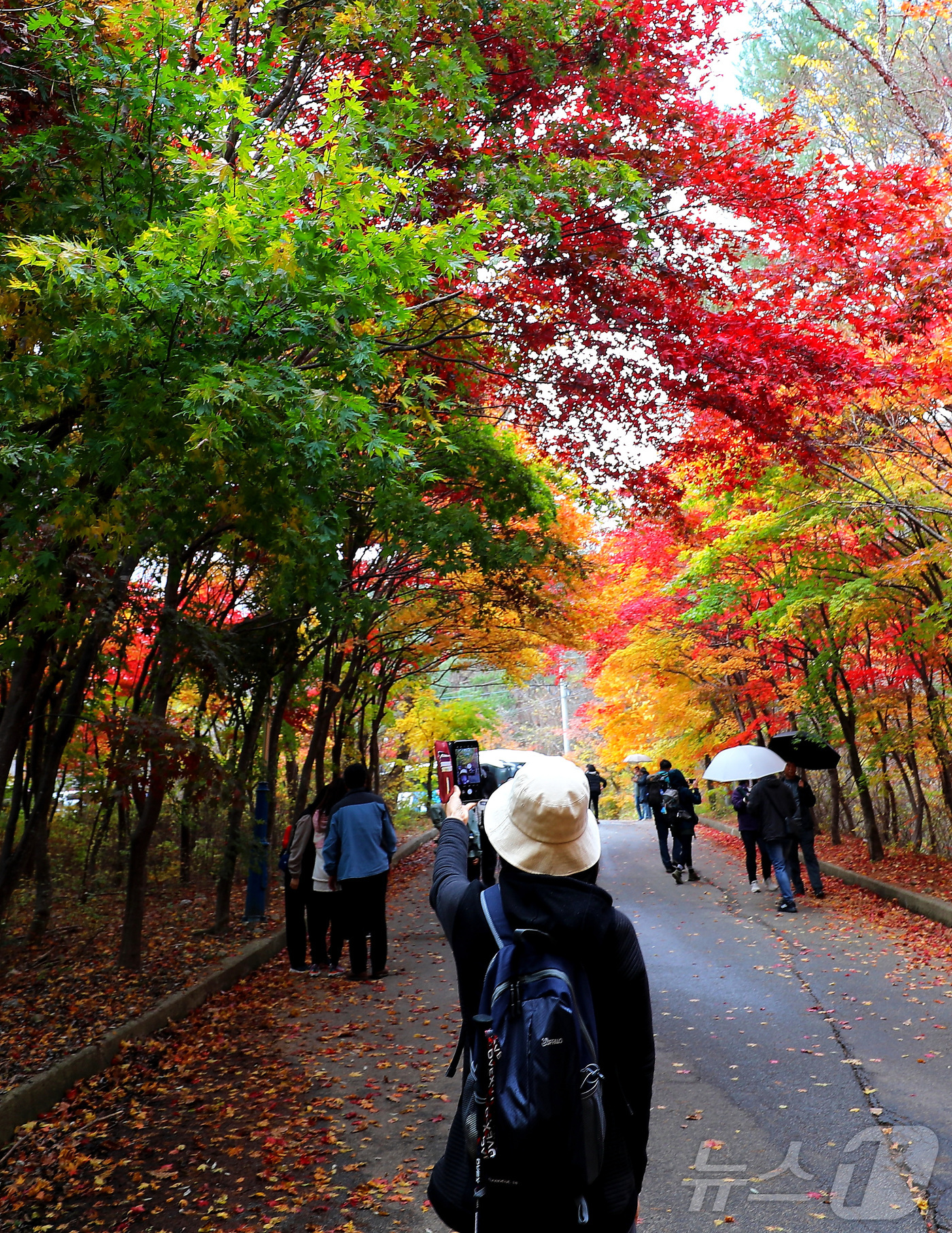 (인제=뉴스1) 이종재 기자 = 2일 강원 인제군 인제읍 귀둔리 필레약수터 일원이 붉게 타오르는 단풍잎으로 아름다운 가을 풍경을 연출하고 있다. 2024.11.2/뉴스1