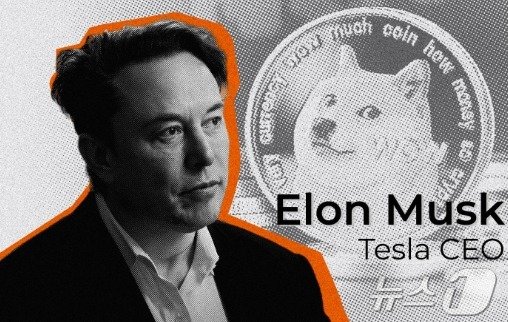 본문 이미지 - 도지밈 - SNS 갈무리