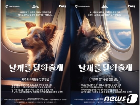 본문 이미지 - 제주도와 포인핸드 등과 공동 추진하는 제주 유기견 도외 입양프로젝트 날개를 달아줄개 홍보문/뉴스1