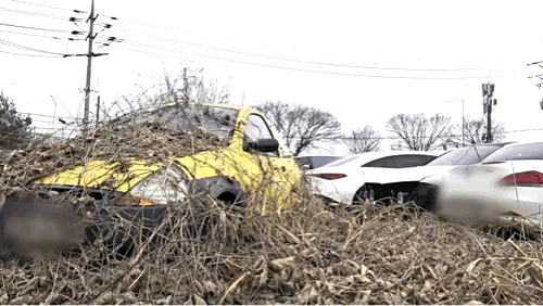 본문 이미지 - 범행에 이용된 차량.(인천경찰청 제공)2024.11.20/뉴스1