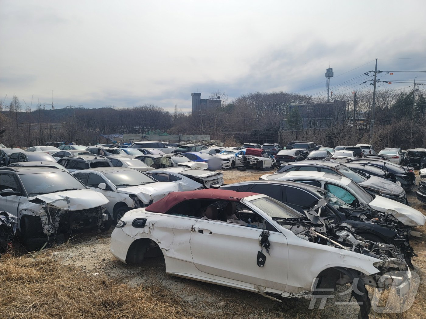 본문 이미지 - 범행에 이용된 차량.(인천경찰청 제공)2024.11.20/뉴스1