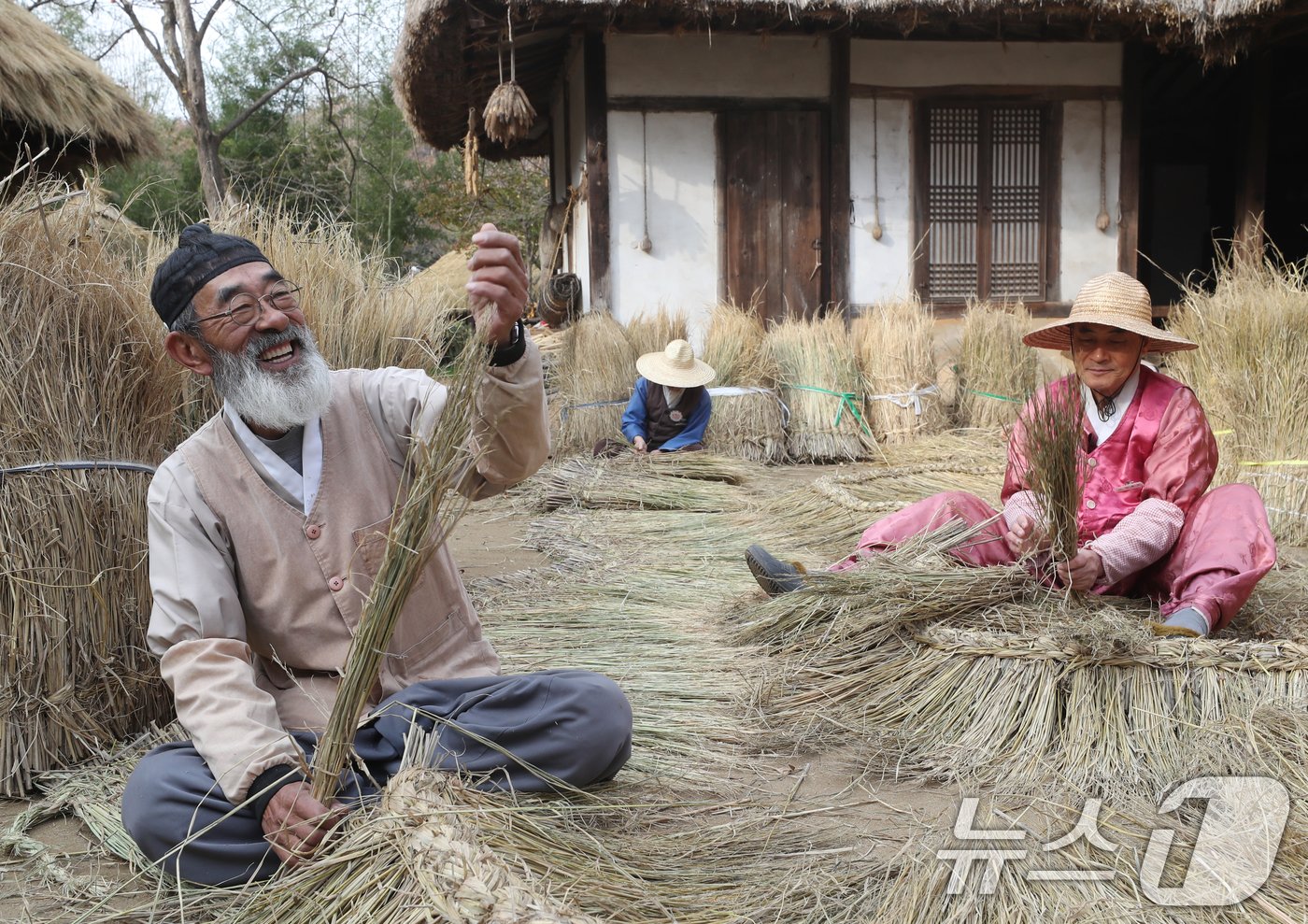 본문 이미지 - 절기상 소설(小雪)을 이틀 앞둔 20일 오전 경기 용인시 기흥구 한국민속촌에서 직원들이 초가지붕 위에 올릴 이엉 잇기 작업을 하며 월동 준비를 하고 있다. 2024.11.20/뉴스1 ⓒ News1 김영운 기자