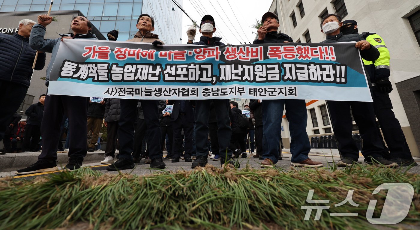 20일 오후 서울 중구 농협중앙회 본점 인근에서 열린 전국마늘양파생산자대표자대회에서 양파 모종을 든 참가자들이 재난지원금 지급 등을 촉구하고 있다. 2024.11.20/뉴스1 ⓒ News1 이동해 기자