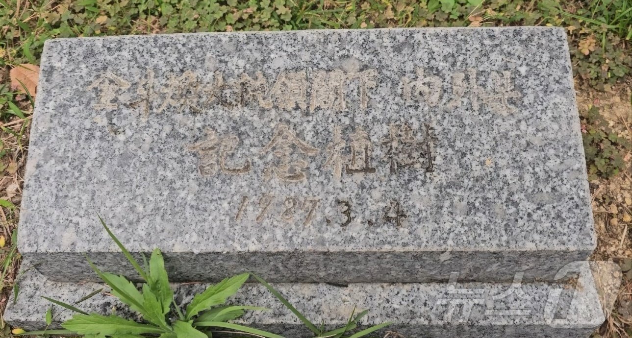 본문 이미지 - 부산 해운대구청 청사 정원에 있는 전 씨부부의 기념식수 표지석(해운대구청 제공)