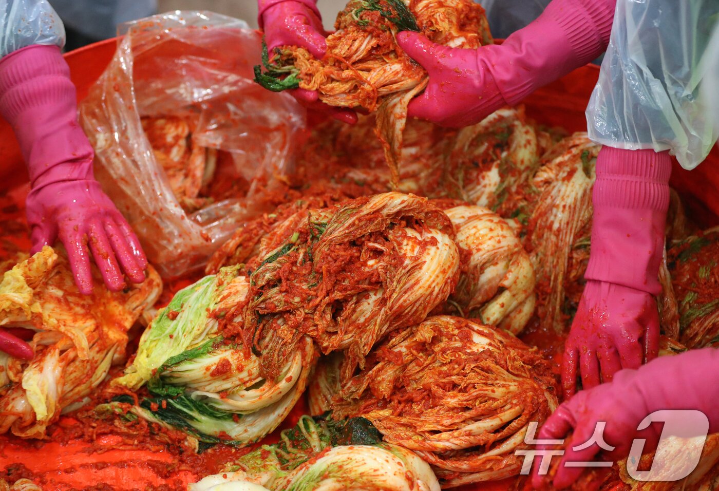 본문 이미지 - (사진은 기사 내용과 무관함) / 뉴스1 ⓒ News1