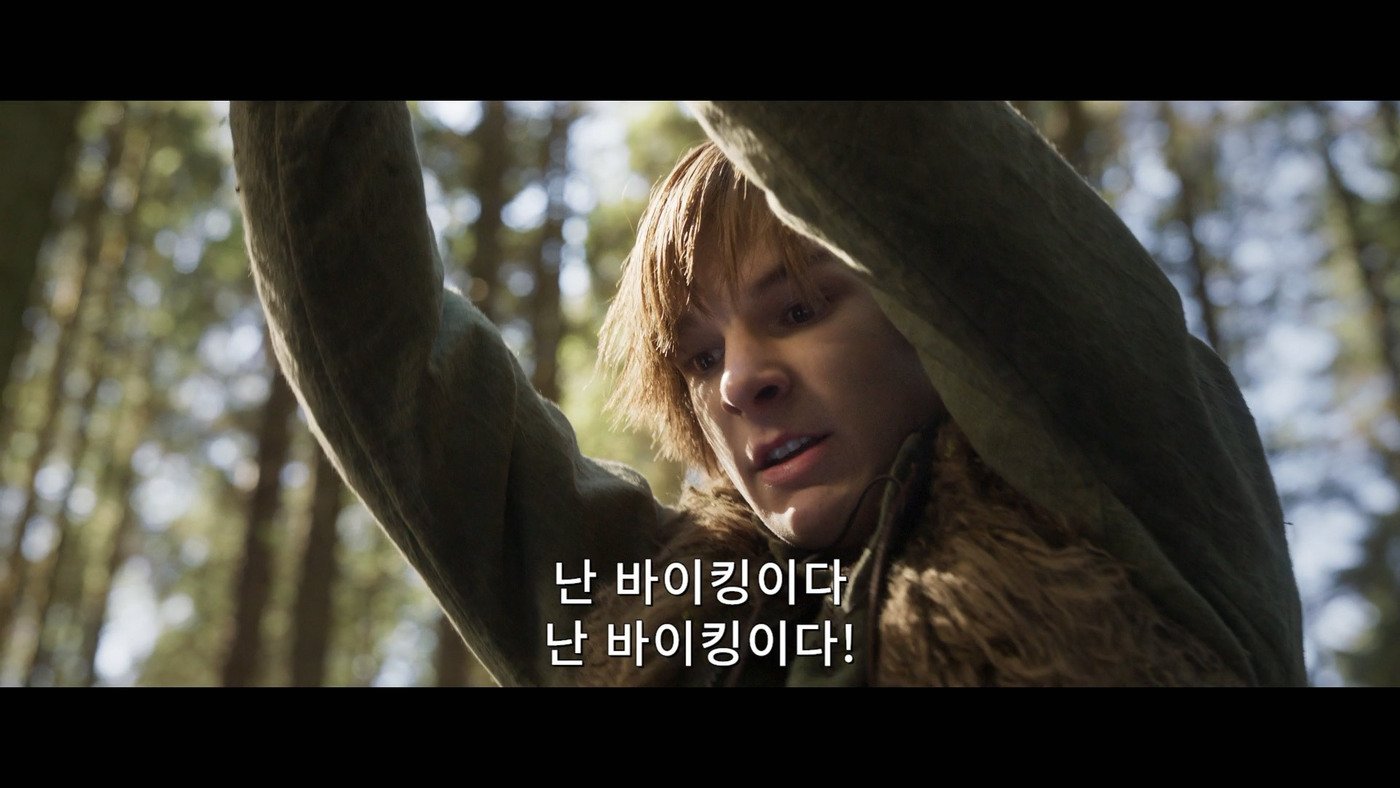 본문 이미지 - '드래곤 길들이기' 티저 예고편