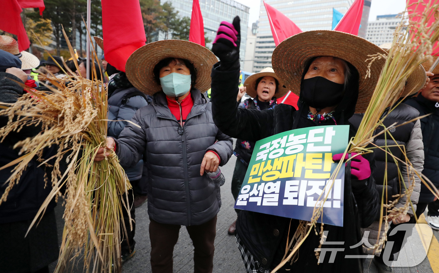 (서울=뉴스1) 박세연 기자 = 20일 오후 서울 세종대로에서 열린 전국농민대회·윤석열 정권 2차 퇴진 총궐기 집회에 참석한 농민들이 벼를 들고 구호를 외치고 있다. 2024.11 …