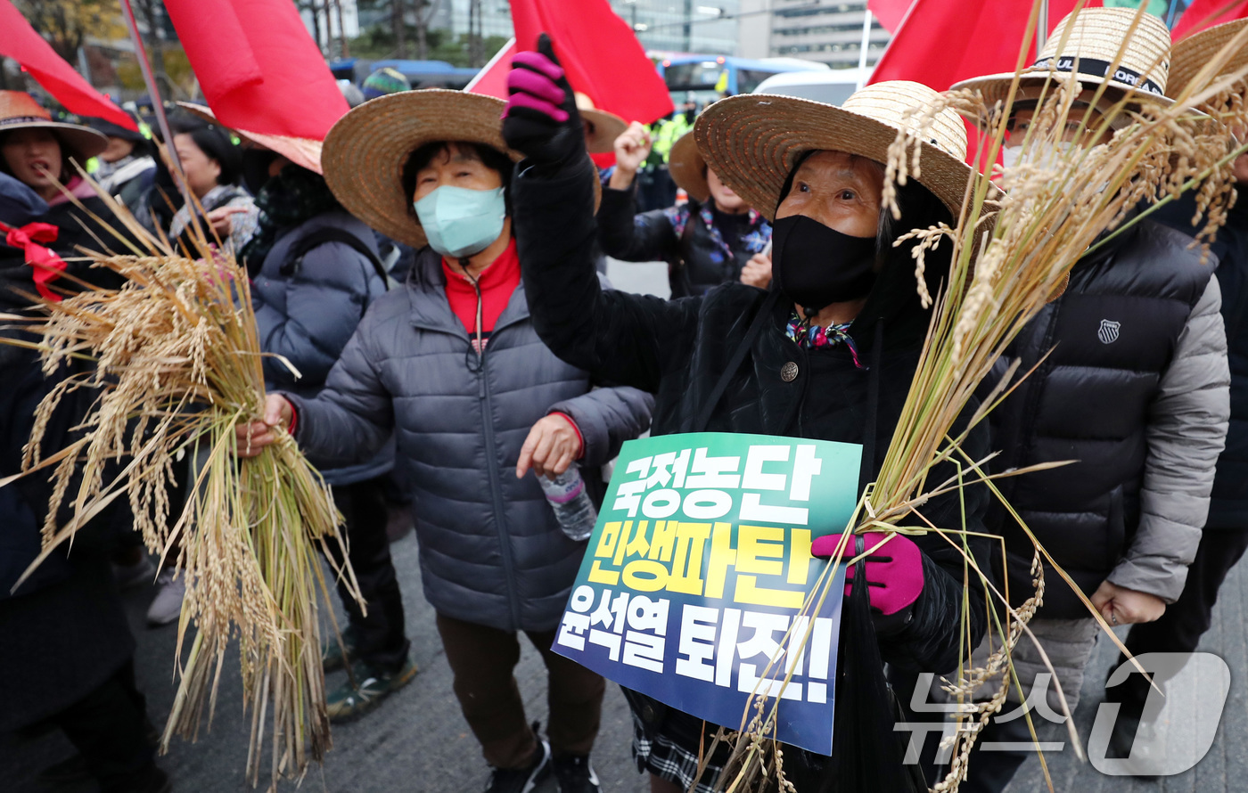 (서울=뉴스1) 박세연 기자 = 20일 오후 서울 세종대로에서 열린 전국농민대회·윤석열 정권 2차 퇴진 총궐기 집회에 참석한 농민들이 벼를 들고 구호를 외치고 있다. 2024.11 …