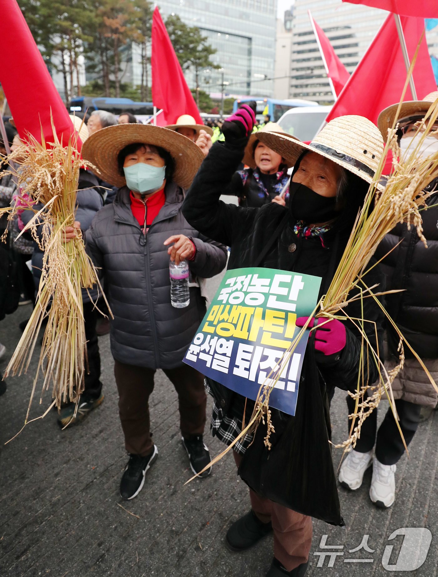 (서울=뉴스1) 박세연 기자 = 20일 오후 서울 세종대로에서 열린 전국농민대회·윤석열 정권 2차 퇴진 총궐기 집회에 참석한 농민들이 벼를 들고 구호를 외치고 있다. 2024.11 …