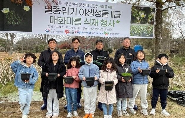 금강유역환경청, 태안 보훈공원서 멸종위기종 '매화마름' 식재