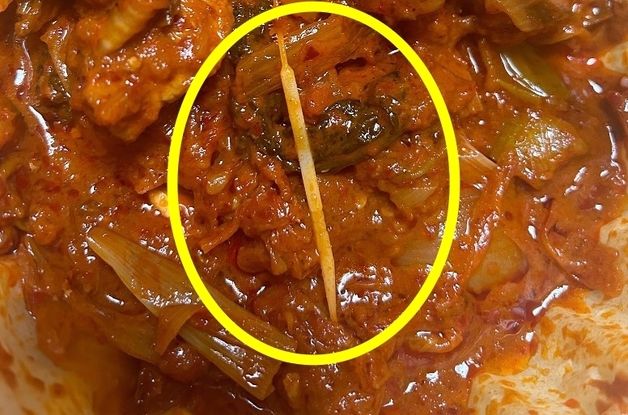 "김치돼지볶음서 나온 치간칫솔 역겨워…음식물 재사용 아닌가요?" 분노