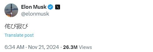 본문 이미지 - 일론 머스크가 20일(현지시간) 자신의 엑스 계정에 올린 일본어 '와비사비' 게시글 갈무리. 2024.11.21/