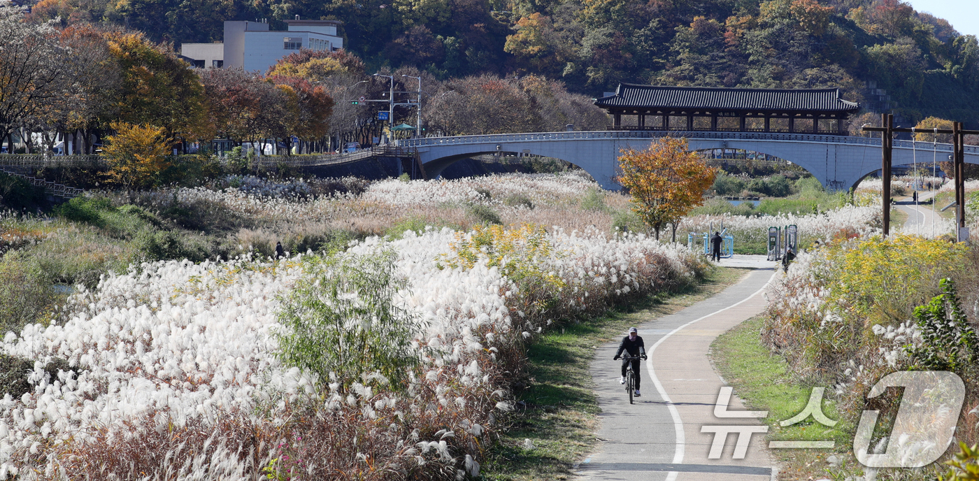 (전주=뉴스1) 유경석 기자 = 21일 전북자치도 전주시 전주한옥마을 전주천변에서 시민들이 산책을 하고 있다. 2024.11.21/뉴스1