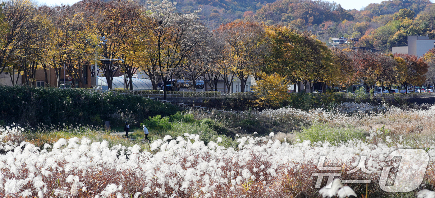 (전주=뉴스1) 유경석 기자 = 21일 전북자치도 전주시 전주한옥마을 전주천변에서 시민들이 산책을 하고 있다. 2024.11.21/뉴스1