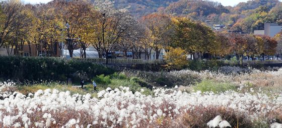 가을빛 가득한 천변 산책로