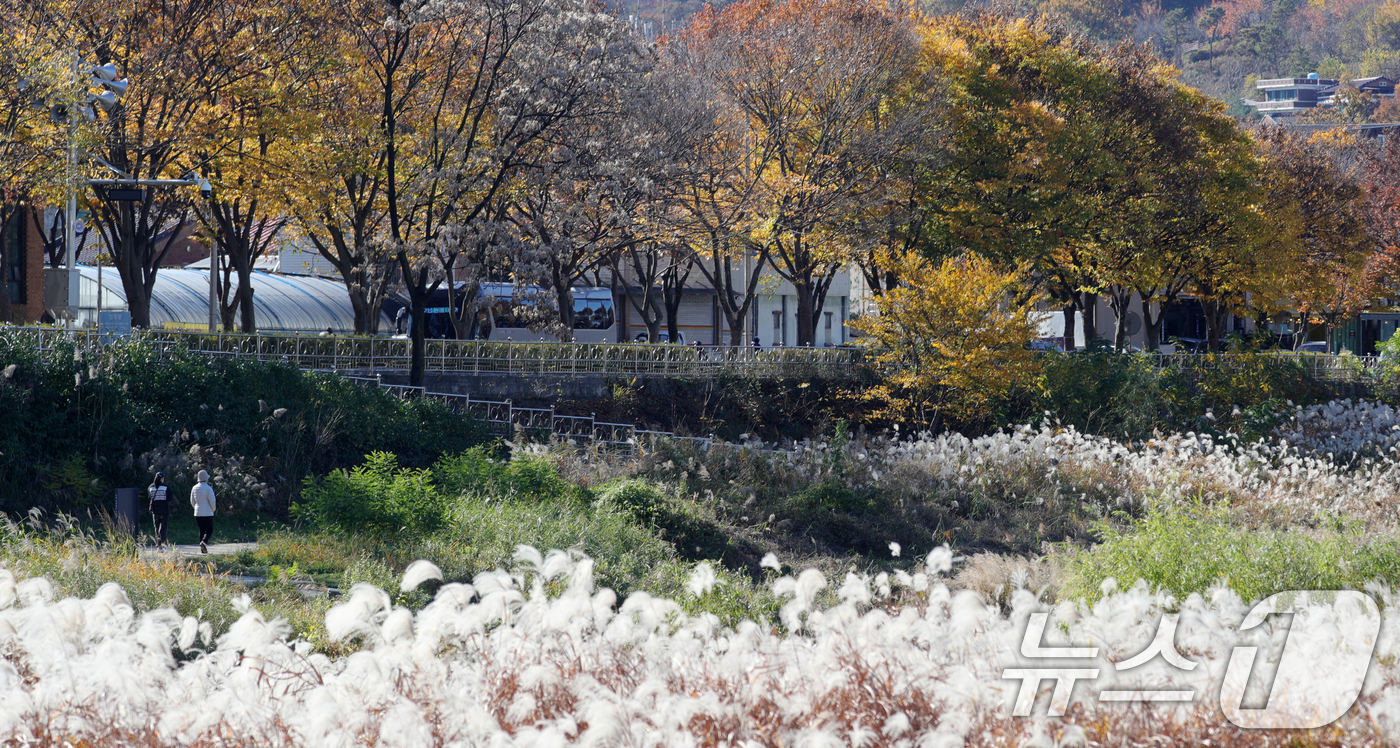 (전주=뉴스1) 유경석 기자 = 21일 전북자치도 전주시 전주한옥마을 전주천변에서 시민들이 산책을 하고 있다. 2024.11.21/뉴스1