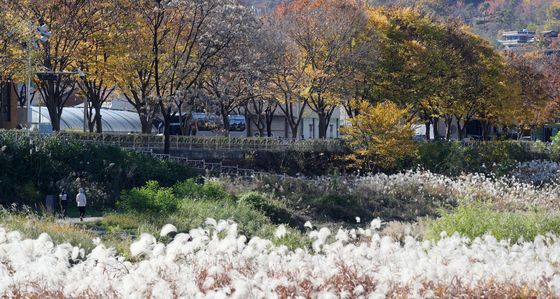 가을 산책 즐기는 시민들