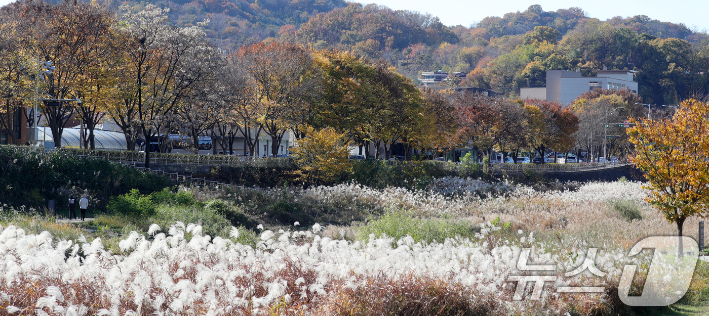 (전주=뉴스1) 유경석 기자 = 21일 전북자치도 전주시 전주한옥마을 전주천변에서 시민들이 산책을 하고 있다. 2024.11.21/뉴스1