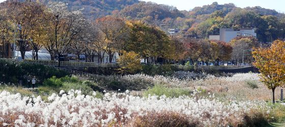 [오늘의 날씨]전북(22일, 금)…구름 많다가 낮부터 맑아져