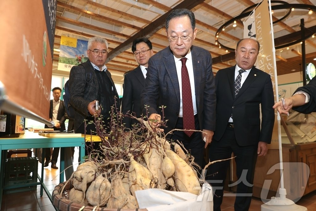 명현관 해남군수가 21일 일본 가고시마 NPO고구마월드센터를 방문해 일본 고구마를 살펴보고 있다. &#40;해남군 제공&#41;/뉴스1 