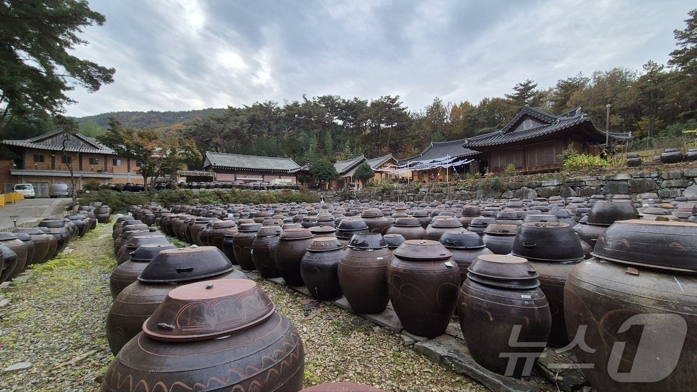 기순도 명인 장독대 모습. 2024.11.14/뉴스1 김동규 기자ⓒ news1