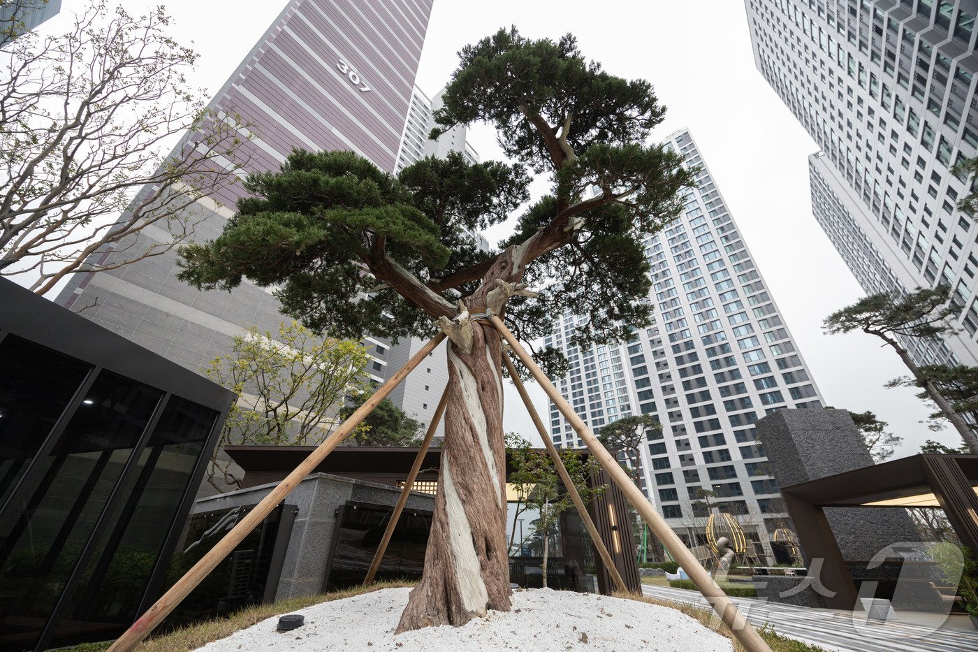 본문 이미지 - 11월 21일 오후 서울 강동구 둔촌동 &#39;올림픽파크포레온’의 모습. 1만 2032세대라는 방대한 규모가 압도적인 이곳은 단군 이래 최대 단일 아파트 단지로 꼽힌다. 단지 곳곳에서 만나본 35층 스카이라운지와 초호화 게스트하우스, 대규모 조경 등은 입주민의 기대감을 엿볼 수 있다. 2024.11.22/뉴스1 ⓒ News1 이재명 기자
