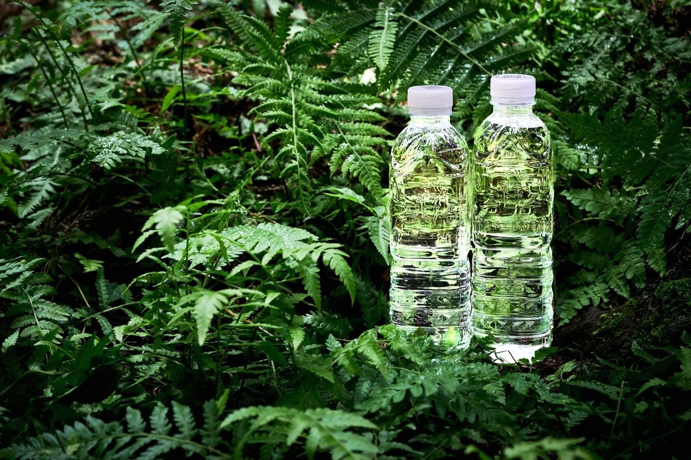 본문 이미지 - (제주삼다수 제공)