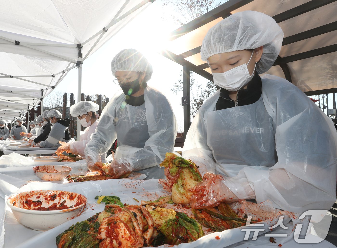본문 이미지 - 김치의 날인 22일 경기 수원시 권선구 국립농업박물관에서 열린 ‘배추는 사랑을 싣고!’ 김장 체험 프로그램에서 구운초등학교 학생들이 직접 심고 수확한 무와 배추로 김장 체험을 하고 있다. 이날 학생들이 담근 김장 김치 100통과 깍두기 50통은 권선구청을 통해 지역사회에 기부할 예정이다. 2024.11.22/뉴스1 ⓒ News1 김영운 기자