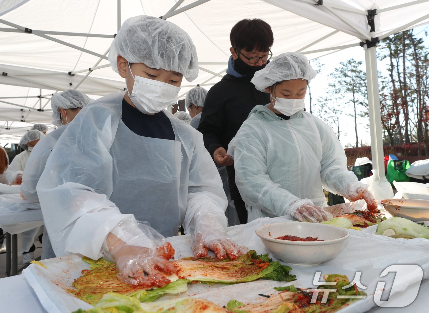 김치의 날인 22일 경기 수원시 권선구 국립농업박물관에서 열린 ‘배추는 사랑을 싣고!’ 김장 체험 프로그램에서 구운초등학교 학생들이 직접 심고 수확한 무와 배추로 김장 체험을 하고 있다. 이날 학생들이 담근 김장 김치 100통과 깍두기 50통은 권선구청을 통해 지역사회에 기부할 예정이다. 2024.11.22/뉴스1 ⓒ News1 김영운 기자