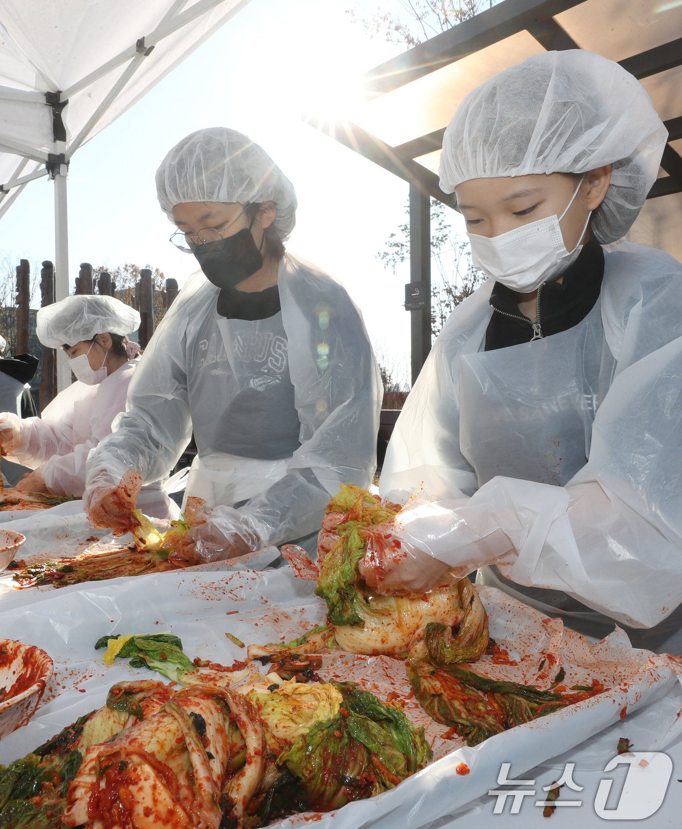 본문 이미지 - 김치의 날인 22일 경기 수원시 권선구 국립농업박물관에서 열린 ‘배추는 사랑을 싣고!’ 김장 체험 프로그램에서 구운초등학교 학생들이 직접 심고 수확한 무와 배추로 김장 체험을 하고 있다. 이날 학생들이 담근 김장 김치 100통과 깍두기 50통은 권선구청을 통해 지역사회에 기부할 예정이다. 2024.11.22/뉴스1 ⓒ News1 김영운 기자