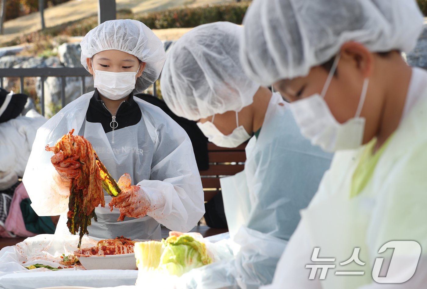 본문 이미지 - 김치의 날인 22일 경기 수원시 권선구 국립농업박물관에서 열린 ‘배추는 사랑을 싣고!’ 김장 체험 프로그램에서 구운초등학교 학생들이 직접 심고 수확한 무와 배추로 김장 체험을 하고 있다. 이날 학생들이 담근 김장 김치 100통과 깍두기 50통은 권선구청을 통해 지역사회에 기부할 예정이다. 2024.11.22/뉴스1 ⓒ News1 김영운 기자