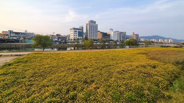 자연과 역사를 품은 걷기 좋은 힐링공간 '보령 대천천'