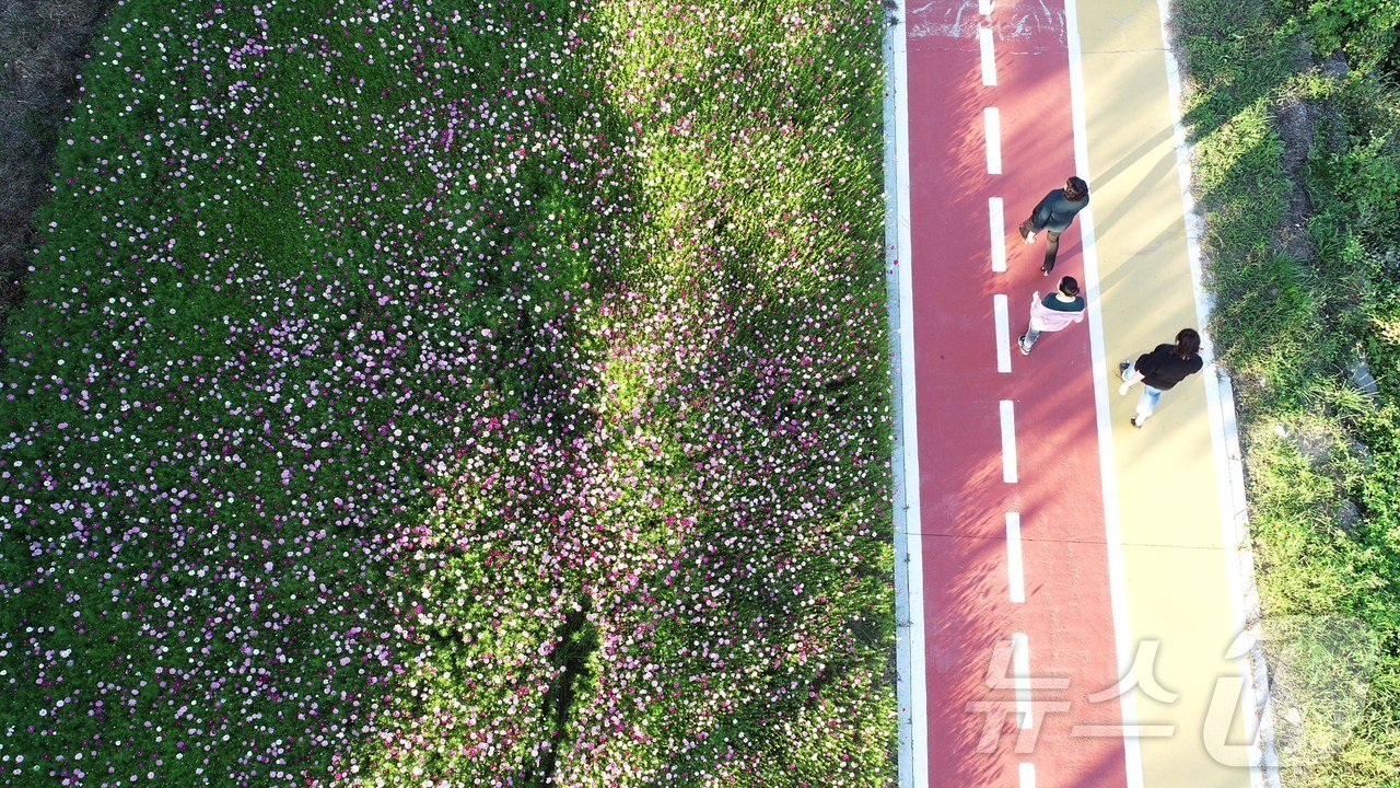 본문 이미지 - 대천천에서 시민이 산책하는 모습/뉴스1