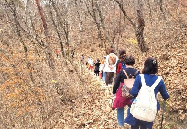 '한국판 산티아고 순례길' 보은군 '동서 트레일' 조성 박차