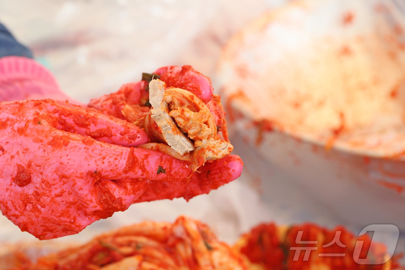 본문 이미지 - 22일 제9회 아삭아삭 김장 페스티벌이 전북자치도 임실군 성수면 치즈테마파크 주차장에서 열린 가운데 한 참가자가 김치에 수육을 싸고 있다.(임실군제공)2024.11.22/뉴스1