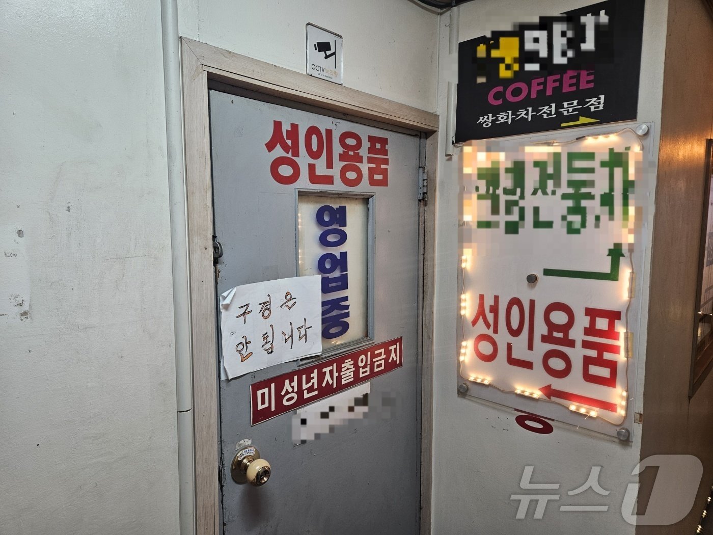 본문 이미지 - 20일 오후 서울 종로3가역 인근의 한 성인용품점. 이 근방의 상점 수십 곳이 온누리상품권 미가맹점인데도 상품권 결제가 가능했다. 2024.11.20 ⓒ 뉴스1 장시온 기자