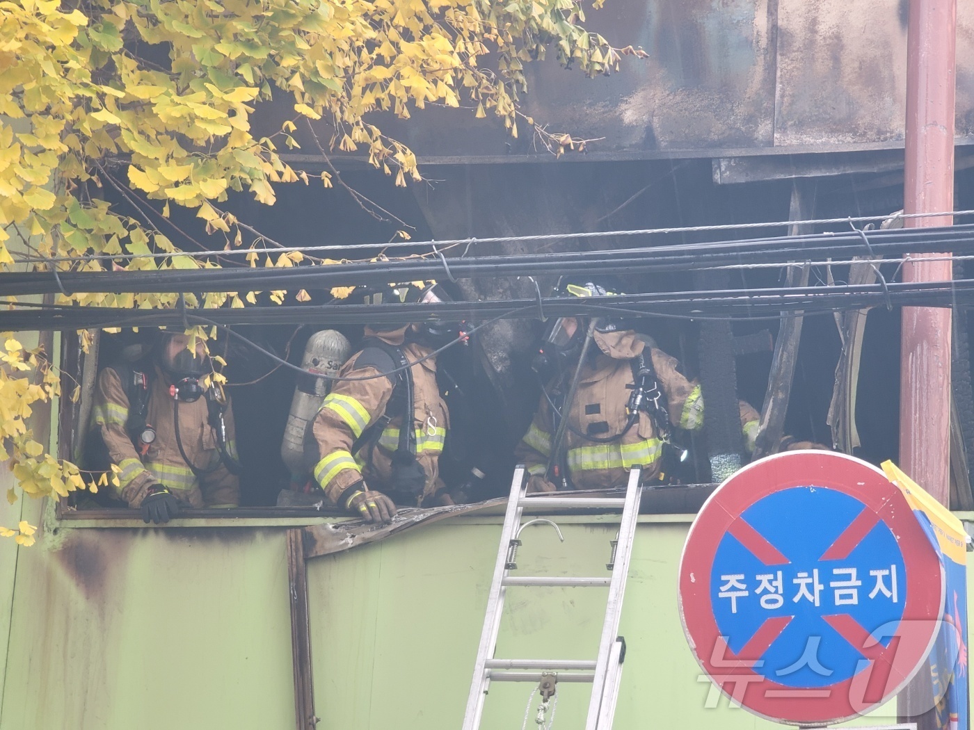 (포항=뉴스1) 이성덕 기자 = 23일 오후 1시 7분쯤 경북 포항시 영일대북부시장 인근 상가에서 불이 나 소방당국이 소방차 5대 대원 51명을 투입해 50여 분만에 큰 불길을 잡 …