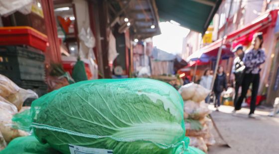 배추 가격 하락에 김장물가 안정세