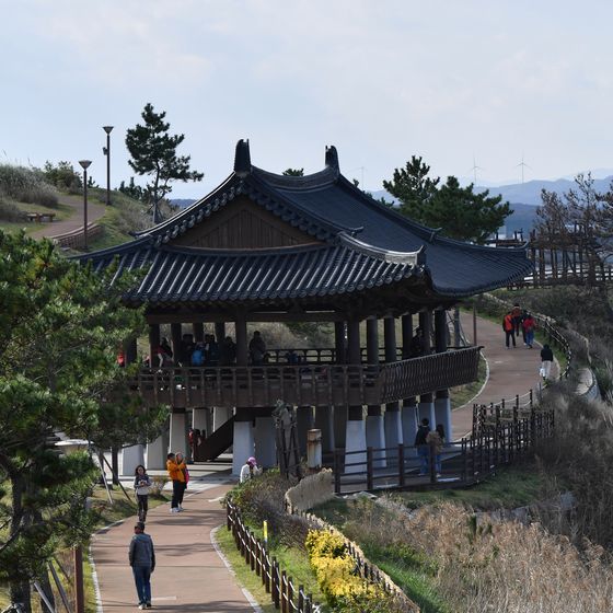 [오늘의 날씨] 대구·경북(25일,월)…늦가을 날씨, 오후 흐려져