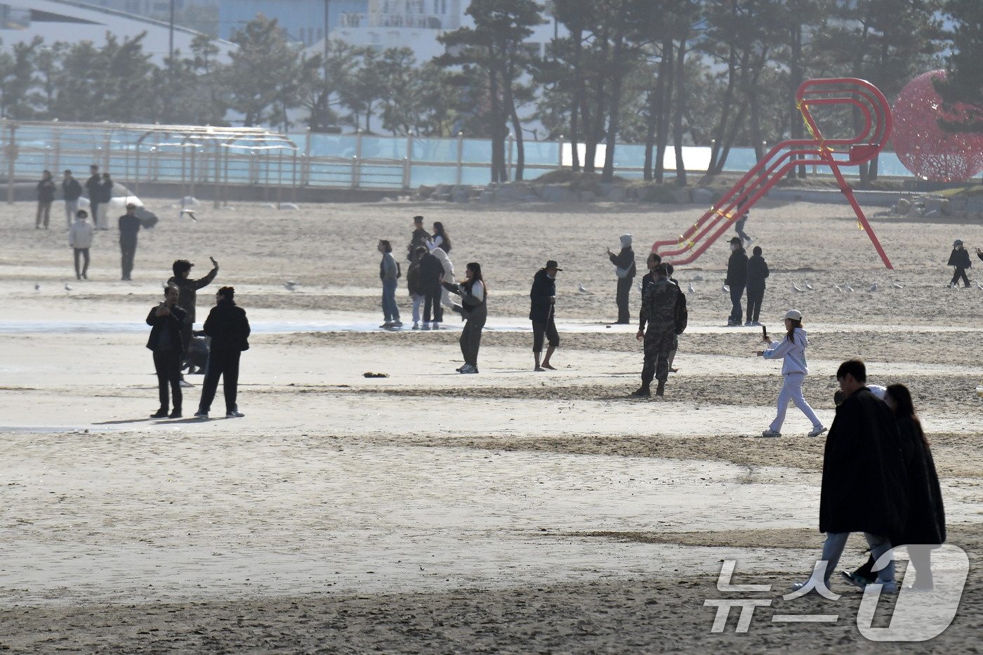 (포항=뉴스1) 최창호 기자 = 24일 경북 포항시 북구 영일대해수욕장 백사장에서 관광객들이 즐거운 시간을 보내고 있다. 2024.11.24/뉴스1