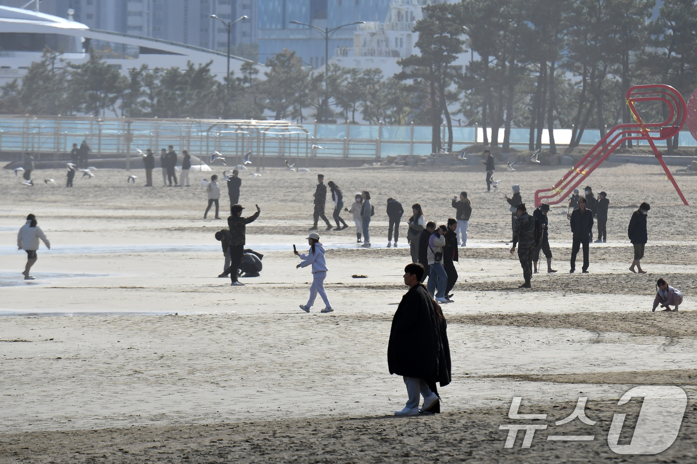 (포항=뉴스1) 최창호 기자 = 24일 경북 포항시 북구 영일대해수욕장 백사장에서 관광객들이 즐거운 시간을 보내고 있다. 2024.11.24/뉴스1