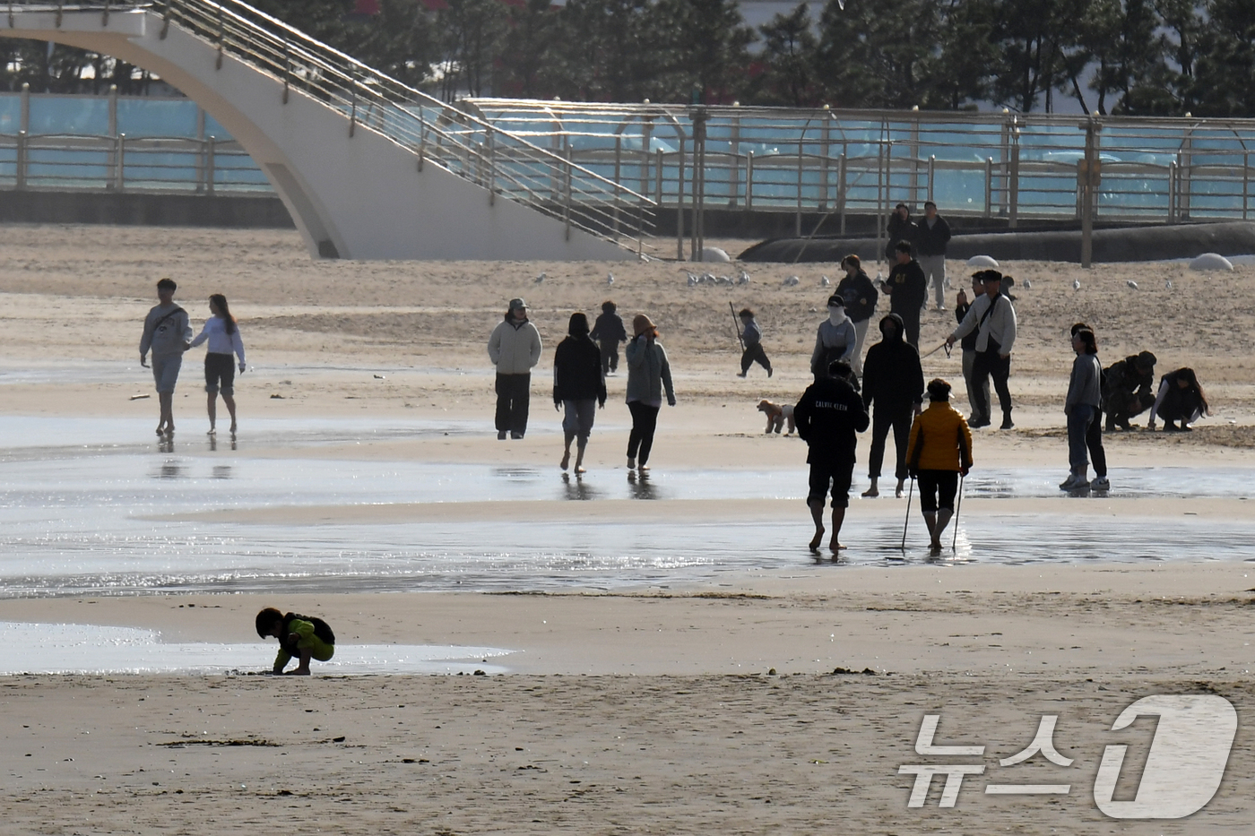 (포항=뉴스1) 최창호 기자 = 24일 경북 포항시 북구 영일대해수욕장 백사장에서 관광객들이 즐거운 시간을 보내고 있다. 2024.11.24/뉴스1