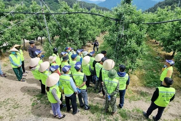 '외국인 근로자 덕분'…함양군 올해 농사 성공적 마무리