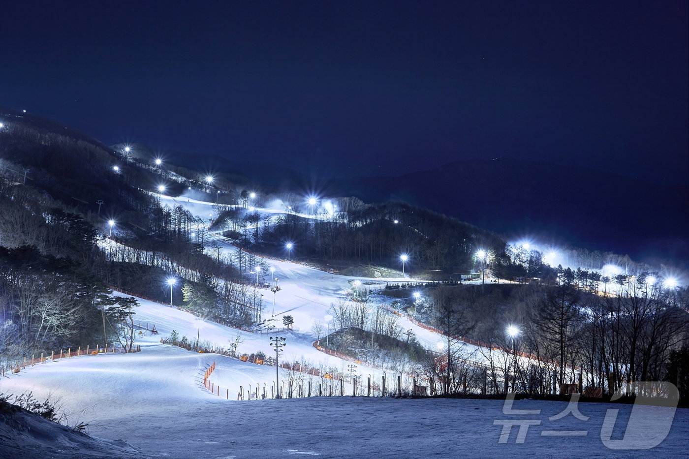 본문 이미지 - 휘닉스 스노우파크 슬로프 야경.(휘닉스파크 제공) 2024.11.25/뉴스1
