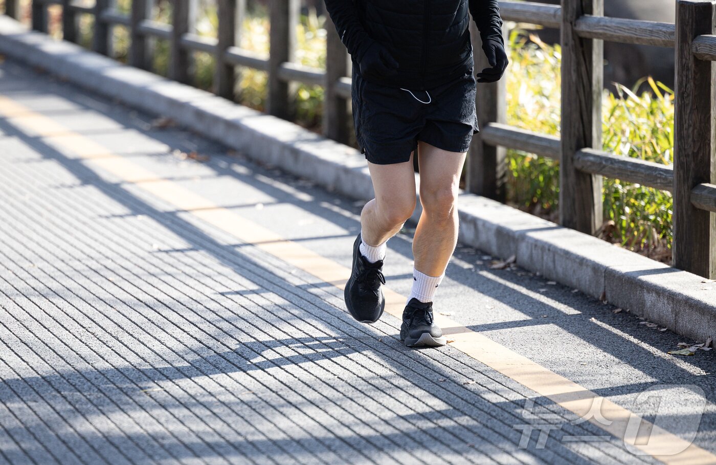 본문 이미지 - 서울 용산구 남산에서 얇은 옷차림을 입은 시민이 러닝을 하고 있다. 2024.11.25/뉴스1 ⓒ News1 이재명 기자