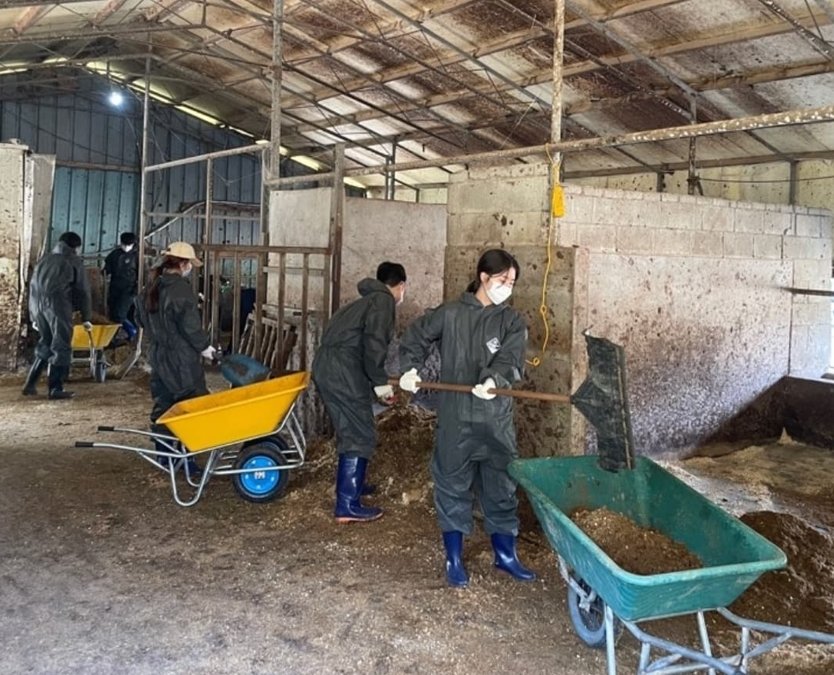 비글구조네트워크 활동가들이 말들이 지내는 공간을 청소하고 있다. &#40;비글구조네트워크 제공&#41; ⓒ 뉴스1