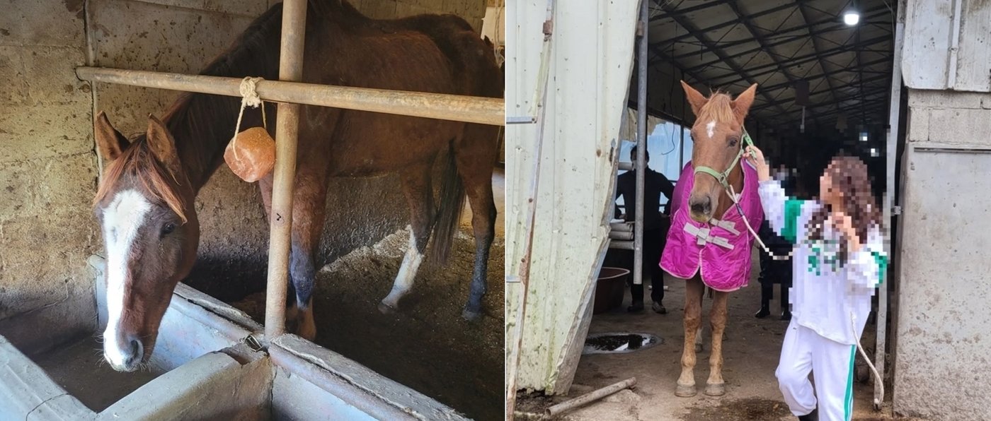 본문 이미지 - 입양처를 찾고 있는 천지의빛(왼쪽)과 레바로. (범대위 제공) ⓒ 뉴스1