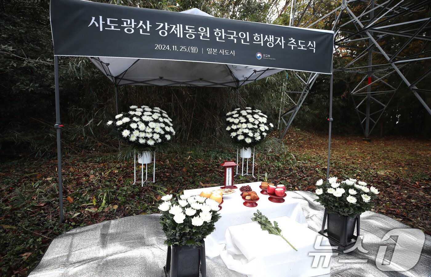 본문 이미지 - 25일 오전 일본 니가타현 사도시 소재 사도광산 조선인 기숙사 터 제4상애료에서 열린 사도광산 강제동원 한국인 희생자 추도식에서 추모상이 차려져 있다. 2024.11.25/뉴스1 ⓒ News1 임세영 기자