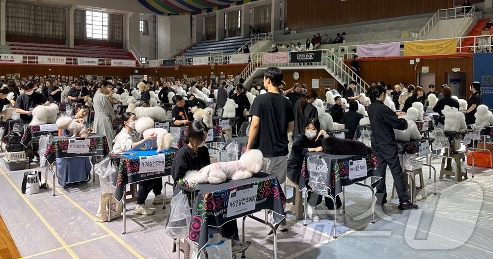 광주대가 16일 한국예술문화명인 반려동물 발전협의회 주관 ‘2024 한국 반려동물 문화예술 대전’을 개최하고 있다. 250여명이 참가한 가운데 미용대회와 전시대회 등 다양한 반려견 행사가 열렸다.&#40;광주대 제공&#41;2024.11.25./뉴스1